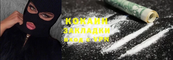 прущие грибы Абаза