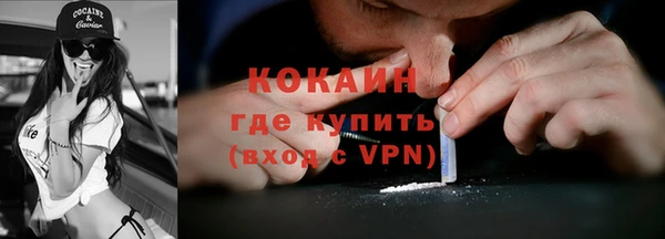 прущие грибы Абаза