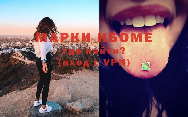 прущие грибы Абаза