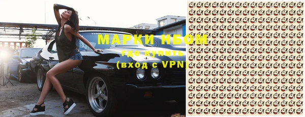 прущие грибы Абаза