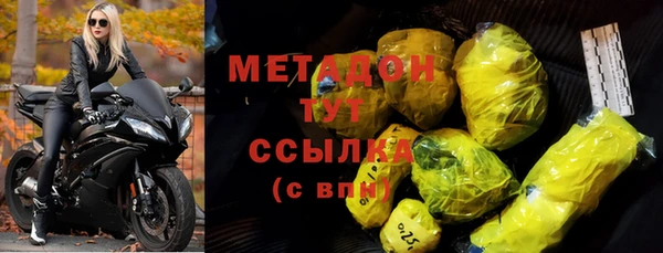 прущие грибы Абаза