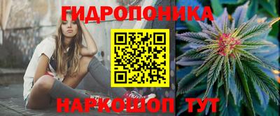 хмурый Гатчина