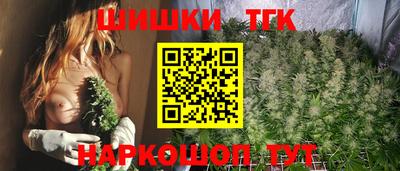 хмурый Гатчина