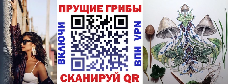 Псилоцибиновые грибы прущие грибы  где продают   Ливны 