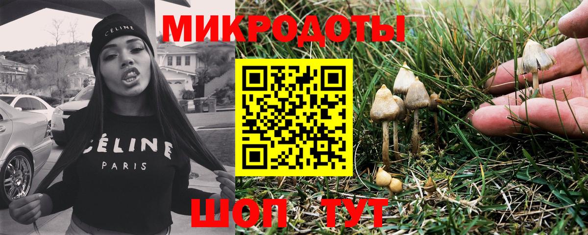 Галлюциногенные грибы GOLDEN TEACHER Ливны